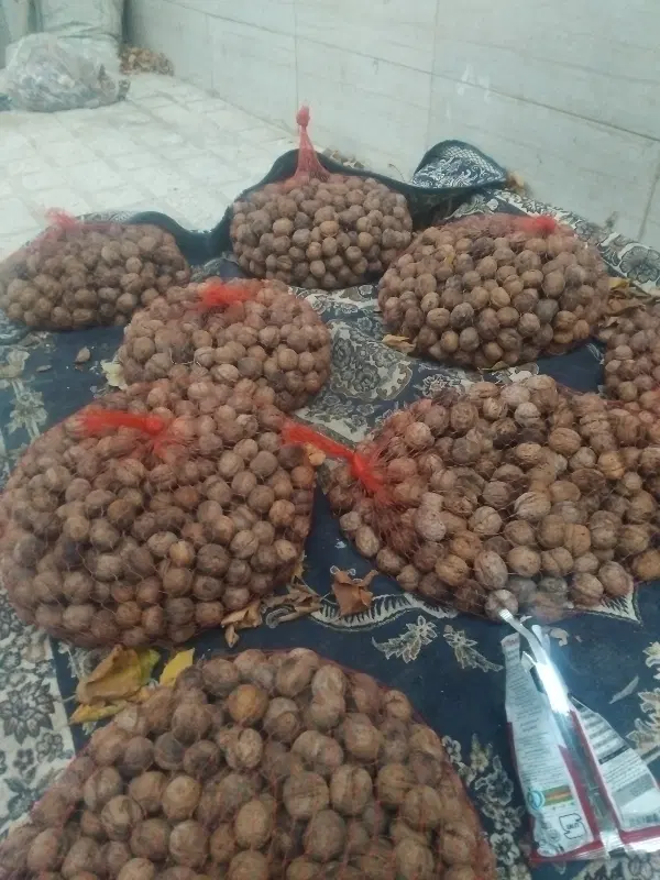 گردو|خوردنی و آشامیدنی|چهارباغ, |دیوار