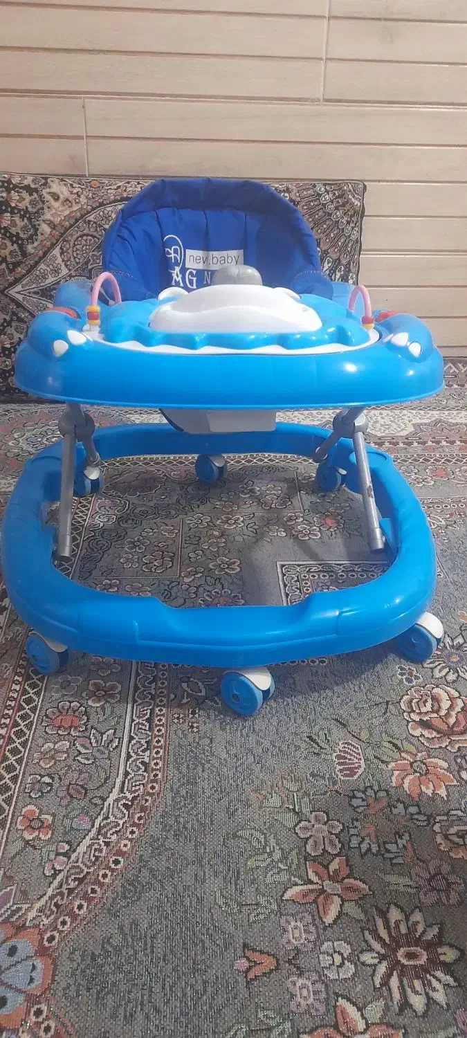 روروءک درحدنو|کالسکه و لوازم جانبی|تربت جام, میان جام|دیوار