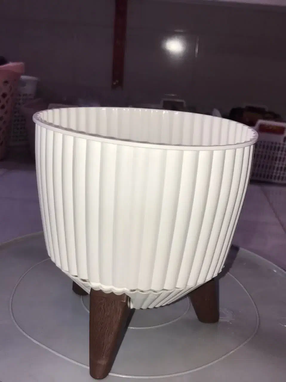 گلدان|گل و گیاه طبیعی|بندرعباس, |دیوار