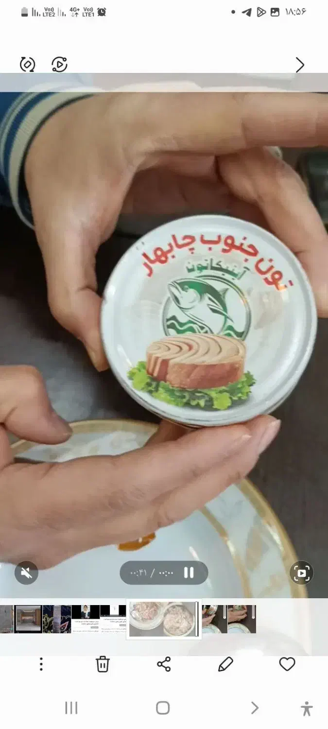 تون جنوب چابهار|خوردنی و آشامیدنی|تربت جام, معدآباد|دیوار