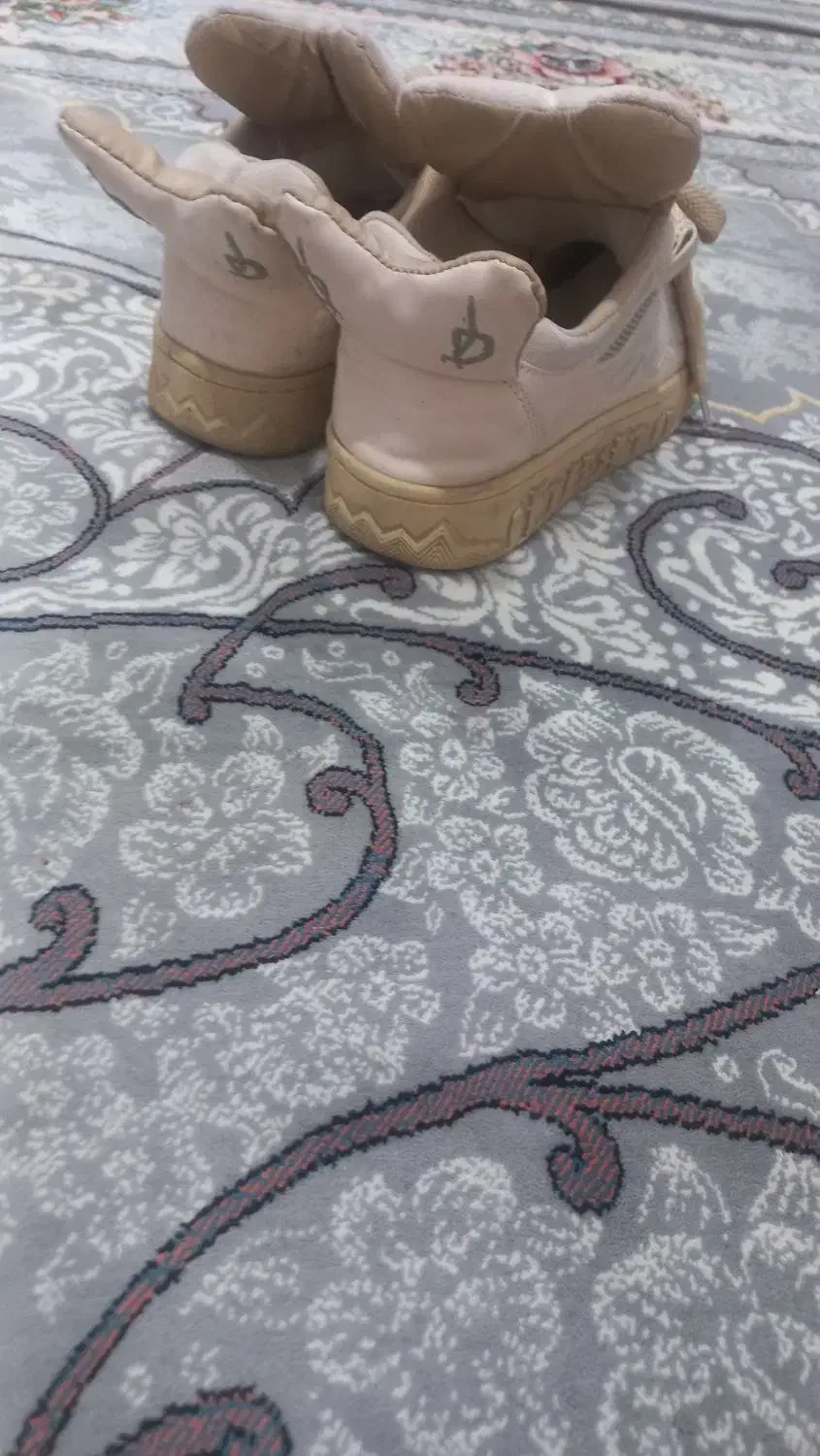 کفش سایز ۳۷|کیف، کفش، کمربند|صحنه, |دیوار