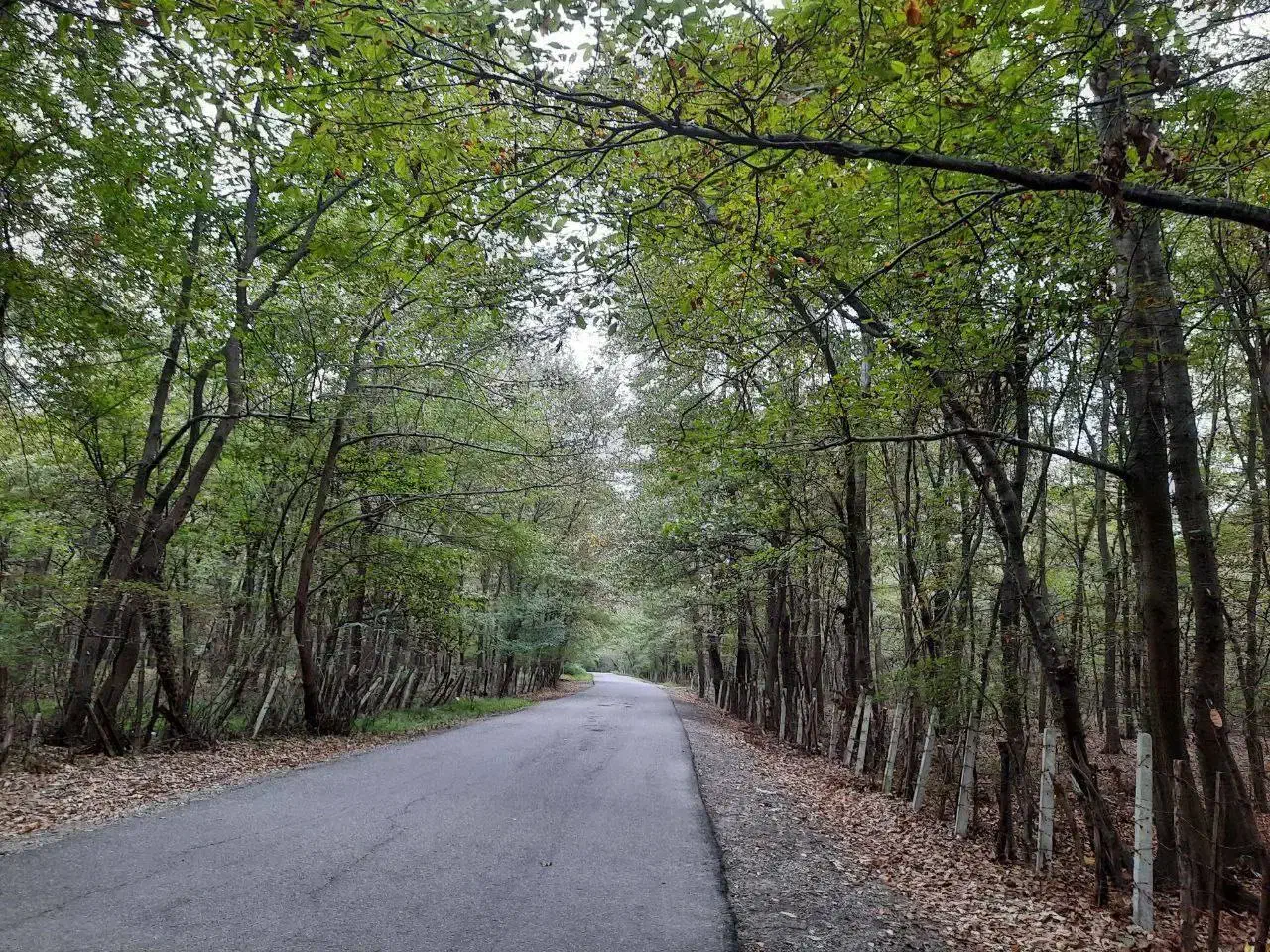 2هکتار زمین چسبه ساخت/سنددار/حومه نور|فروش زمین و ملک کلنگی|کیاکلا, |دیوار