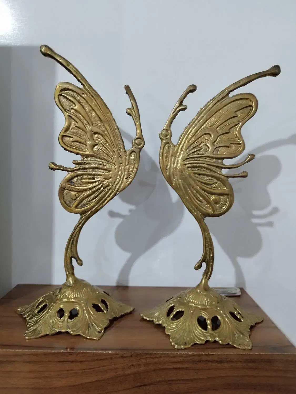 پروانه برنز اصل|مجسمه، تندیس، ماکت|خرمآباد, |دیوار