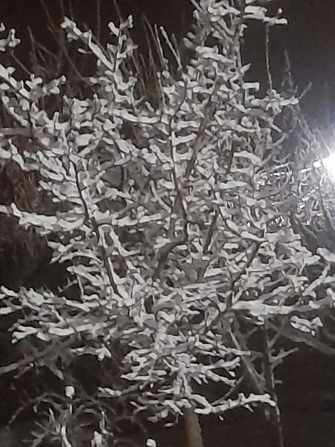 املاک|اجارهٔ آپارتمان|فرمهین, |دیوار