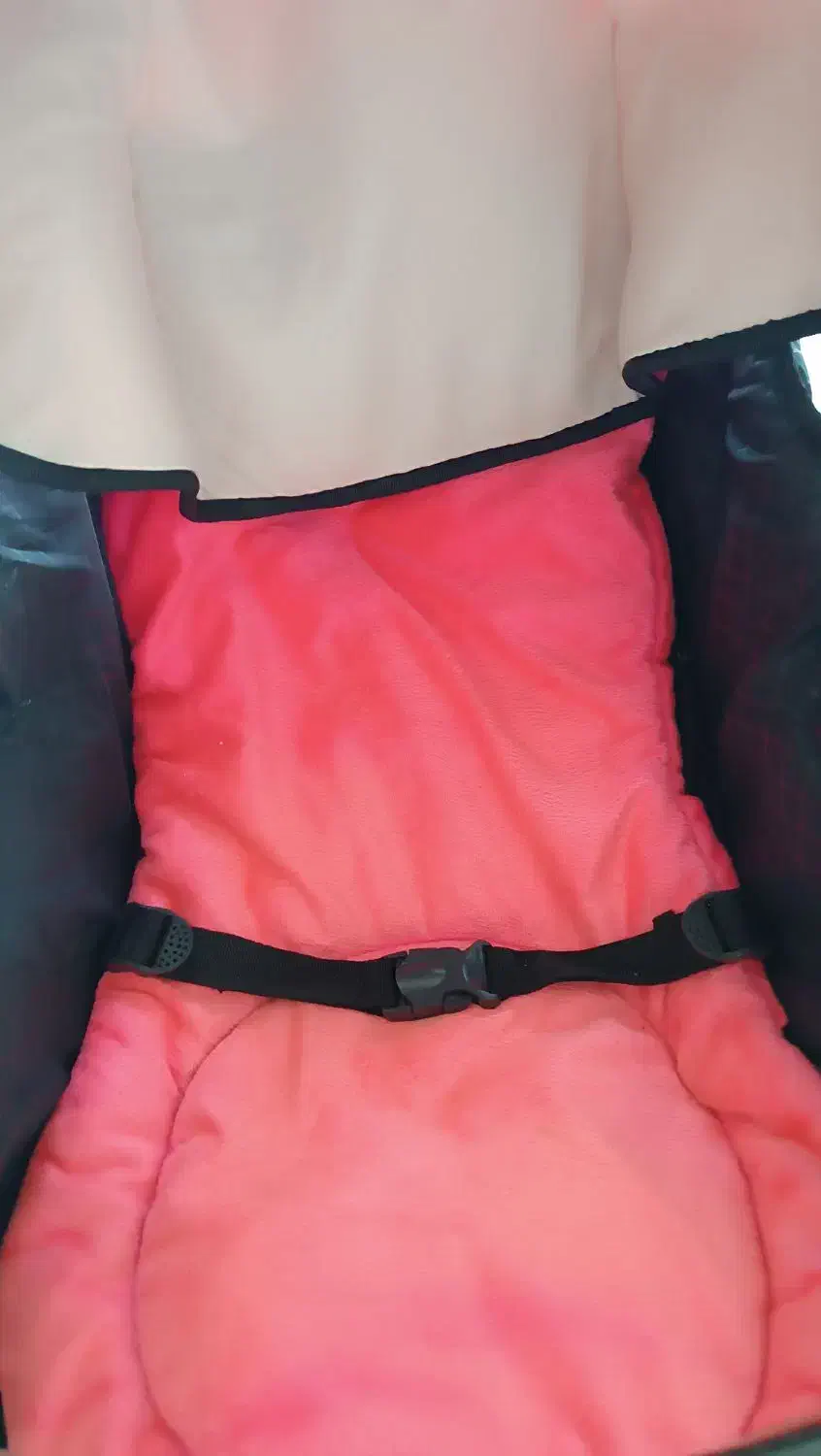 کالسکه|کالسکه و لوازم جانبی|سبزوار, کاشفی شمالی (دادگستری)|دیوار