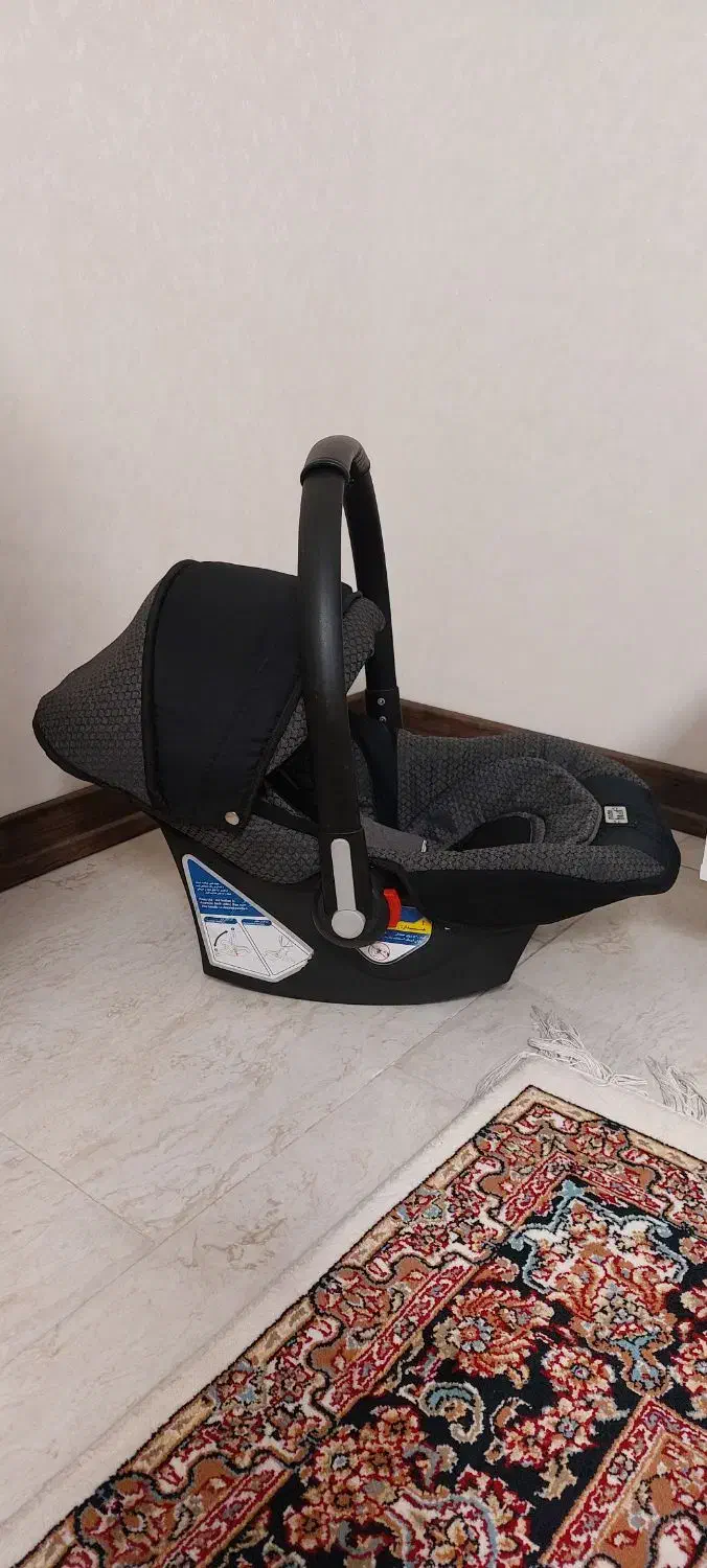 کریر و کالسکه دلیجان|کالسکه و لوازم جانبی|رباط‌کریم, رباط‌کریم|دیوار