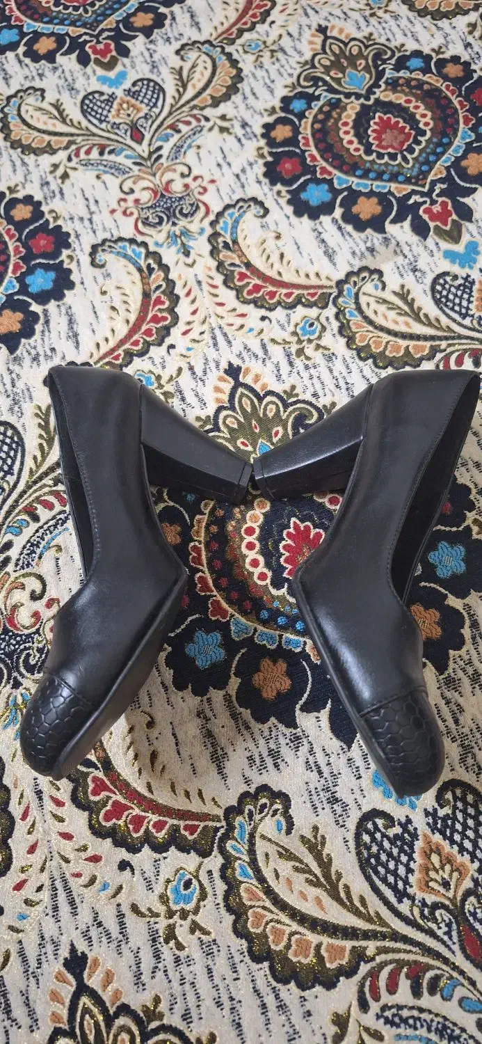 کفش چرم زنانه|کیف، کفش، کمربند|قم, چهار مردان|دیوار