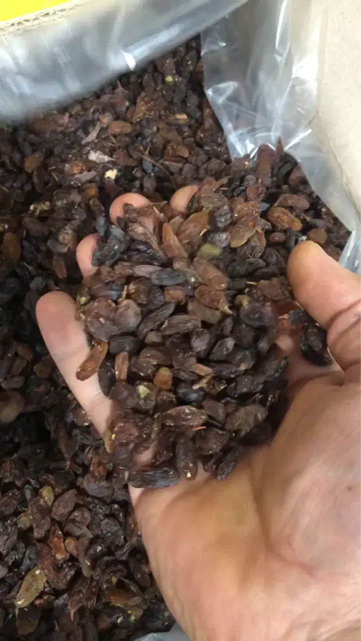 کشمش آفتابی کاشمر|خوردنی و آشامیدنی|قائم‌شهر, |دیوار