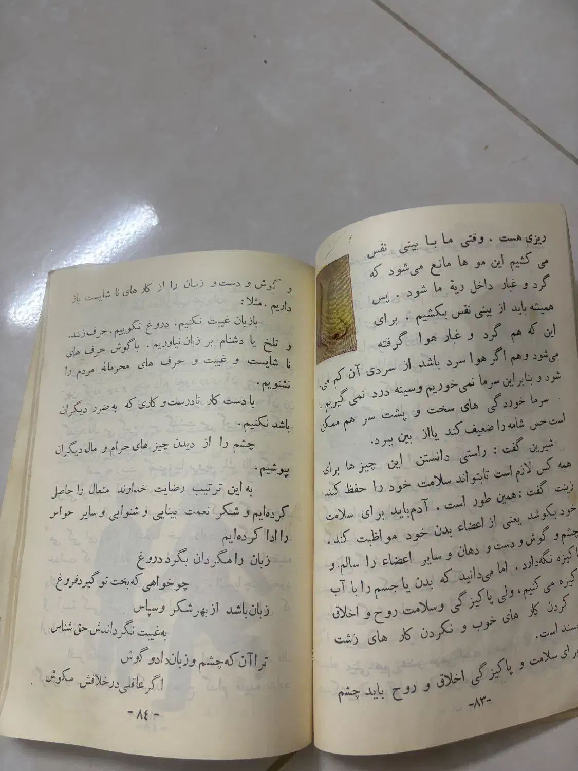 کتاب دبستان شاهنشاهی|کتاب و مجله تاریخی|اصفهان, سنبلستان|دیوار