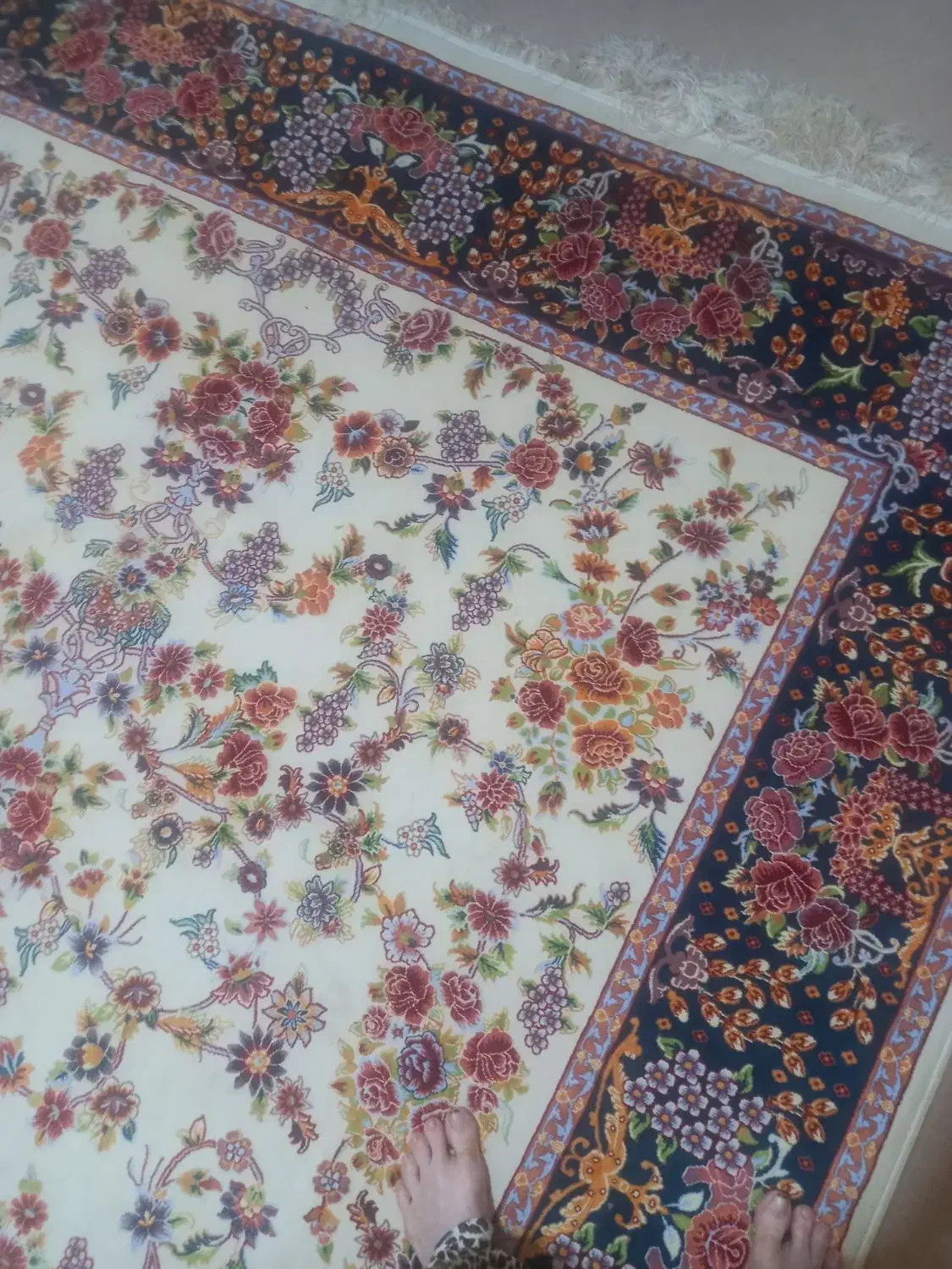 ۲ تخته فرش ۶ متری خیلی نو ۷۰۰ شانه|فرش|بومهن, |دیوار