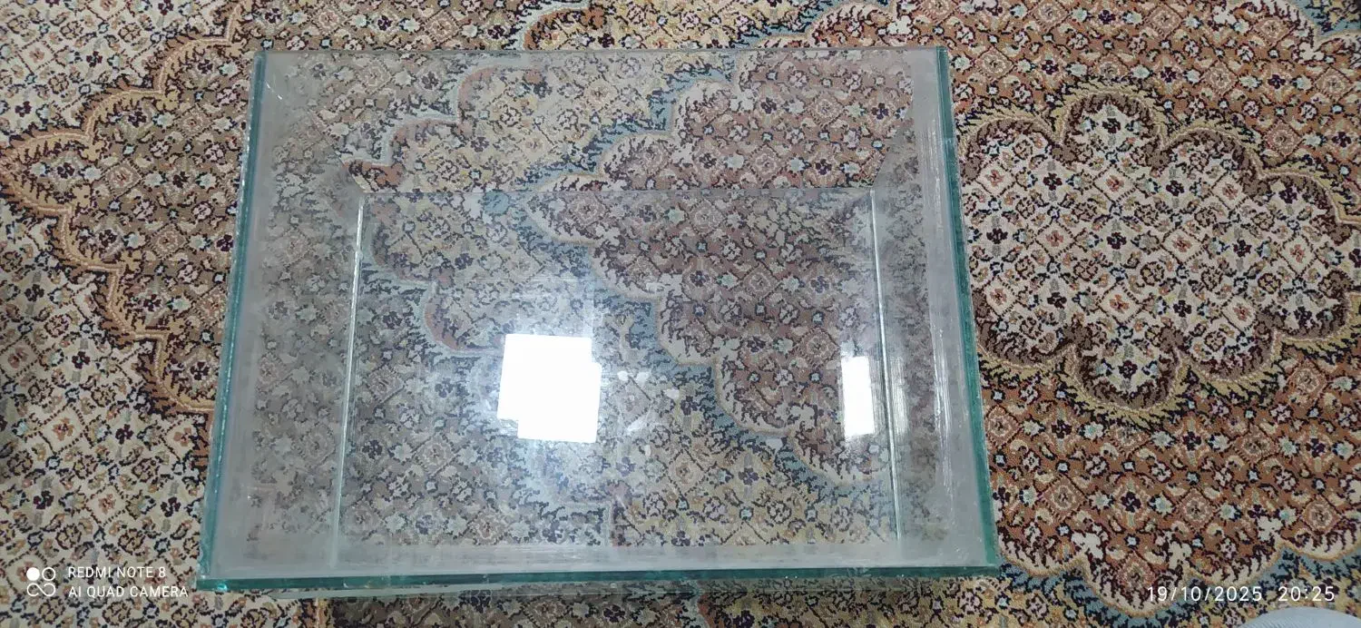 آکواریوم و وسایل|ماهی|گناباد, |دیوار