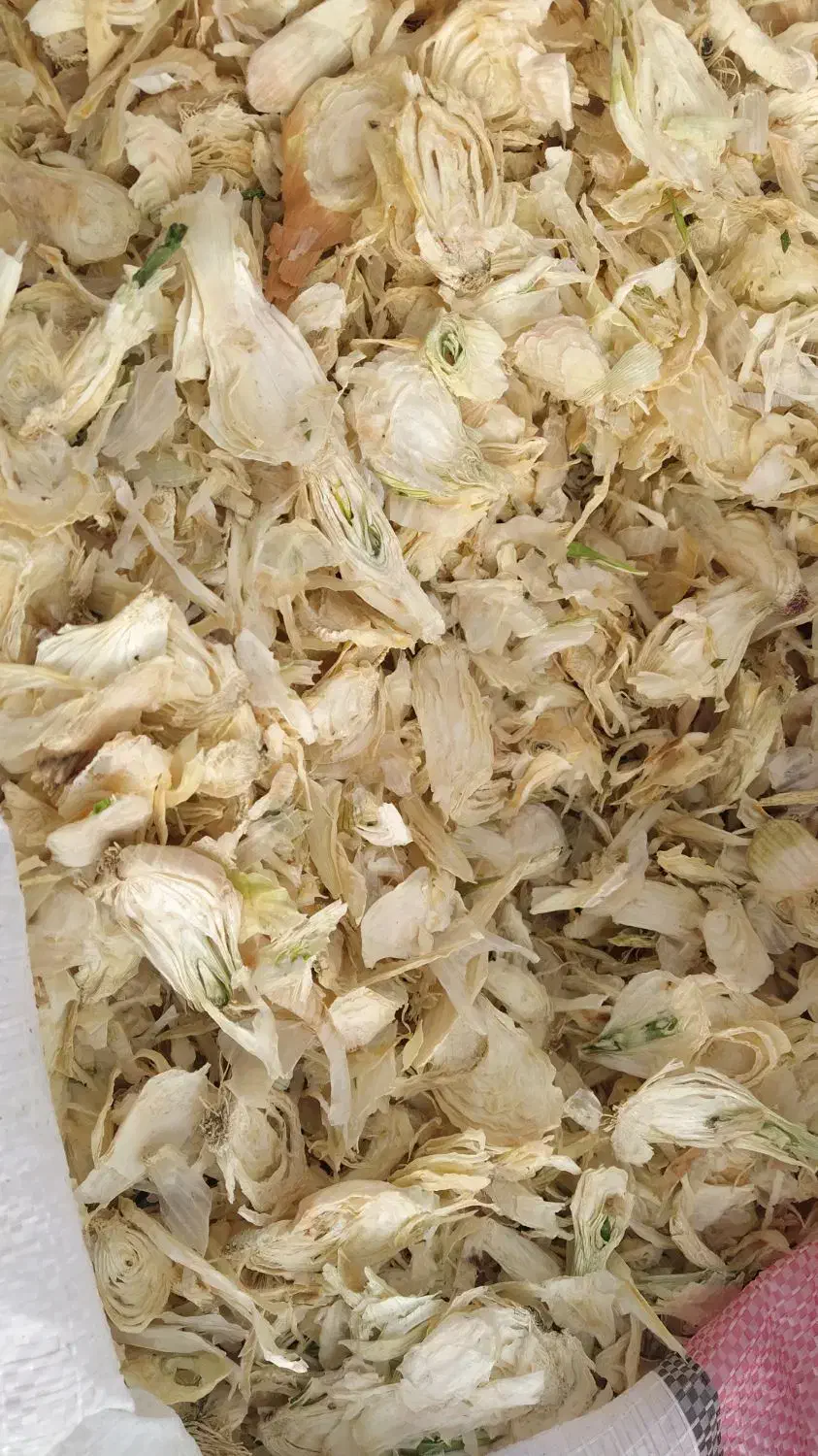 پیاز|خوردنی و آشامیدنی|هرند, |دیوار