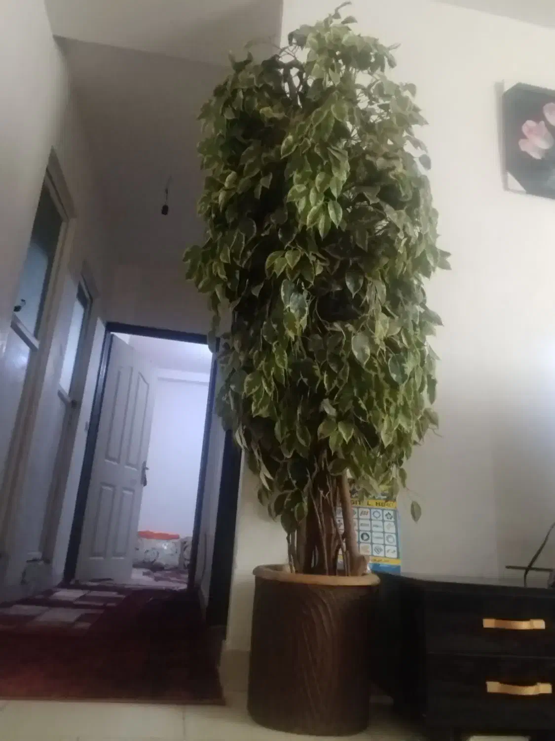 درختچه مصنوعی|گل مصنوعی|بندرعباس, |دیوار