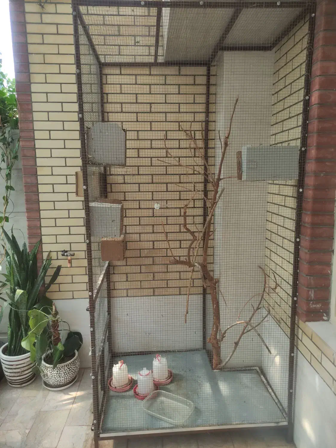 فروش قفس بزرگ مناسب پرنده با کفی گالوانیزه|لوازم جانبی حیوانات|جهرم, |دیوار