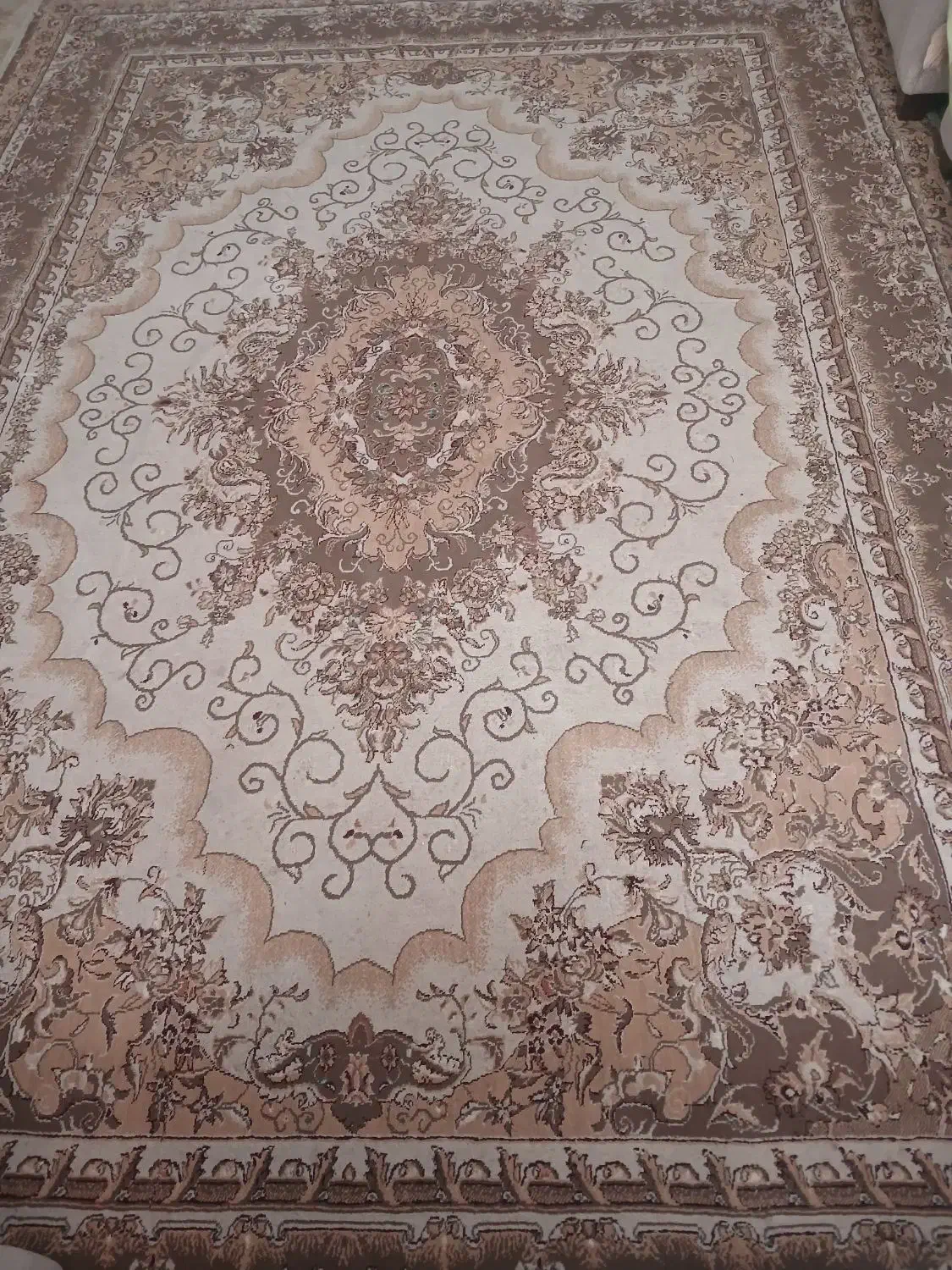 فرش ۹متری رنگ کرم و گردویی|فرش|لاهیجان, لیالستان|دیوار