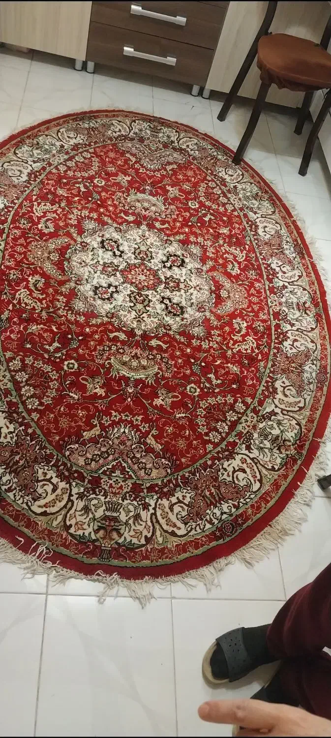 فرش ماشینی بیضی|فرش|تبریز, |دیوار