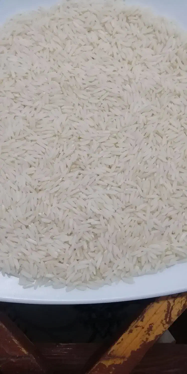 برنج هاشمی|خوردنی و آشامیدنی|رشت, فلسطین|دیوار