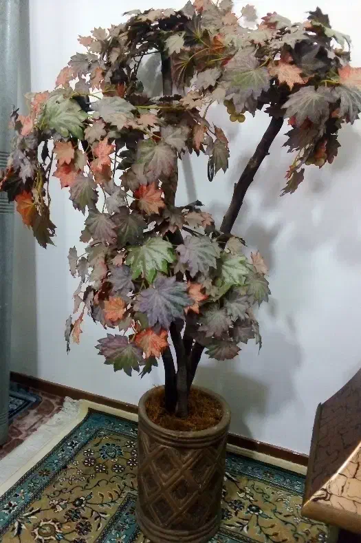 درختچه|گل مصنوعی|گرگان, |دیوار