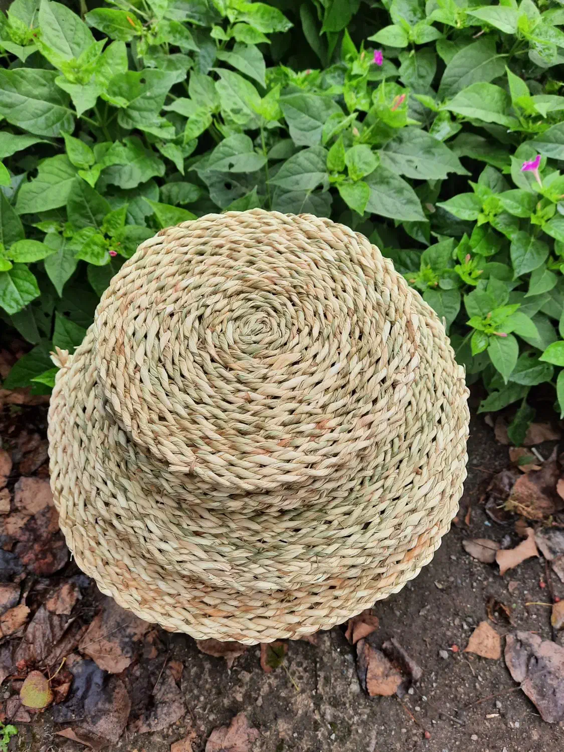 زیرقابلمه ای،حصیری ،چوبی،|صنایع دستی و سایر لوازم تزئینی|رشت, هلال احمر|دیوار