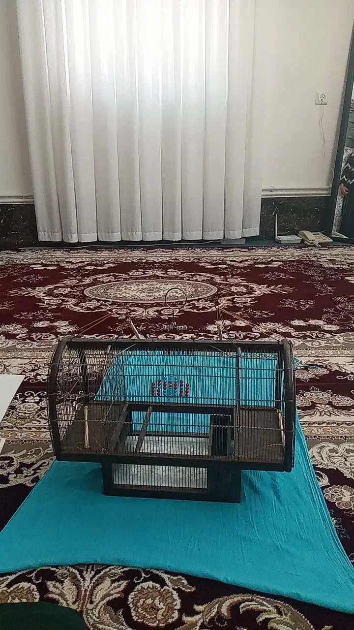 قفس کلکسیونی چوب گردو آس عالی|لوازم جانبی حیوانات|تهران, جوادیه|دیوار