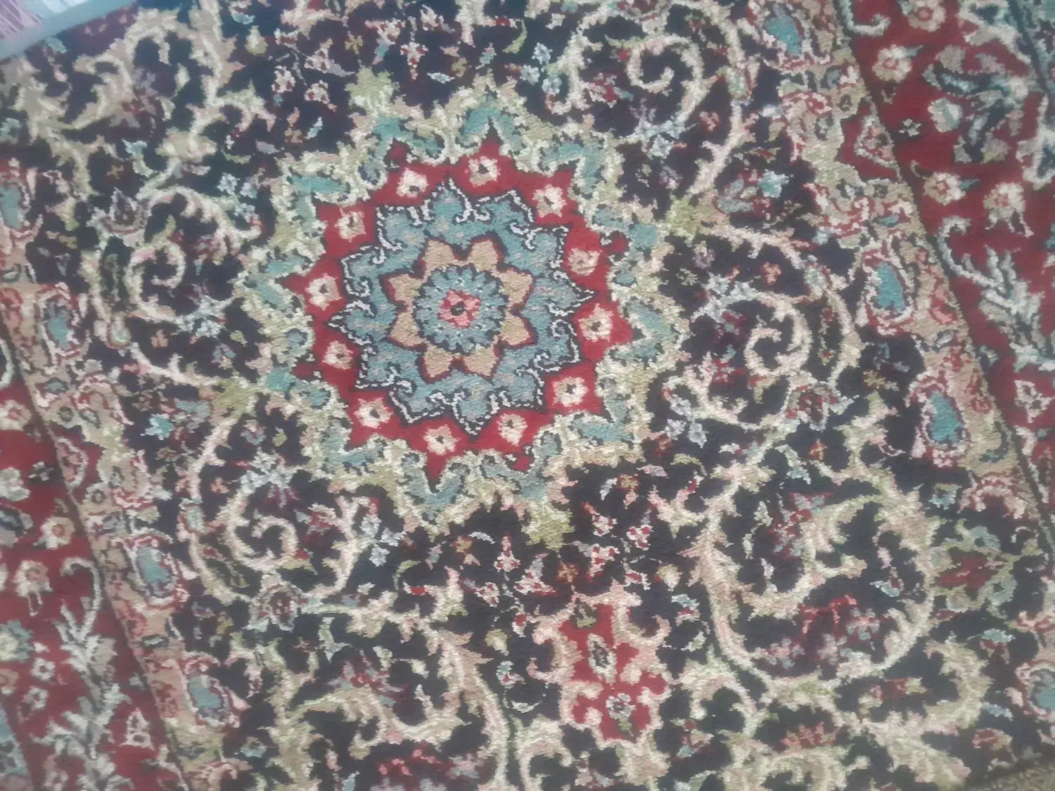 ۳تا کناره|فرش|رفسنجان, |دیوار