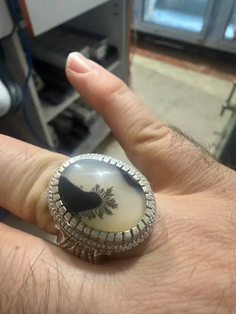 شجر منظره|بدلیجات|اهر, |دیوار