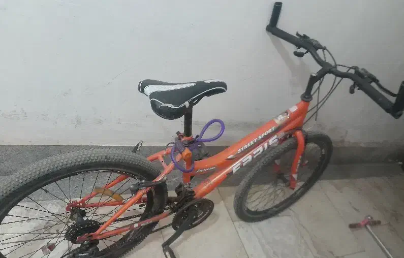 دوچرخه فاریس|دوچرخه، اسکیت، اسکوتر|فردوس (خراسان), |دیوار