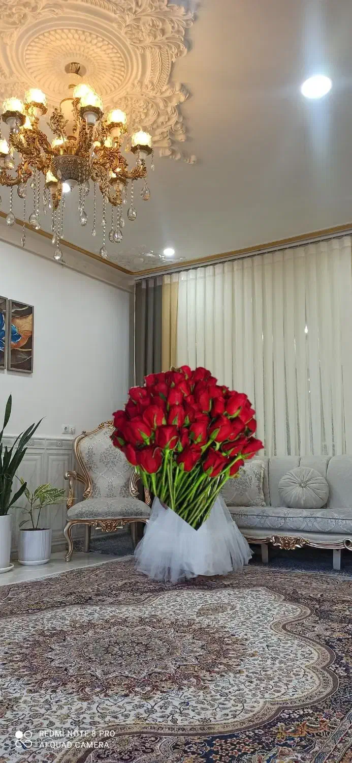 شغل دوم|فعالیت داوطلبانه تحقیقاتی|دزفول, |دیوار