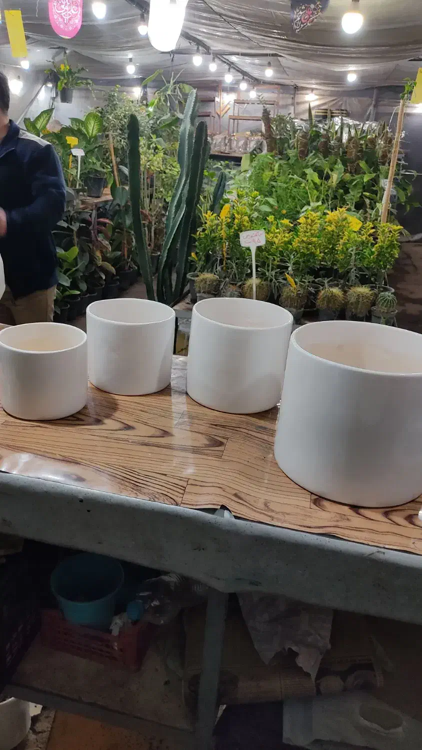 فروش ویژه پک ۴ تایی گلدان / گلخانه میر|گل و گیاه طبیعی|اصفهان, ملکشهر|دیوار