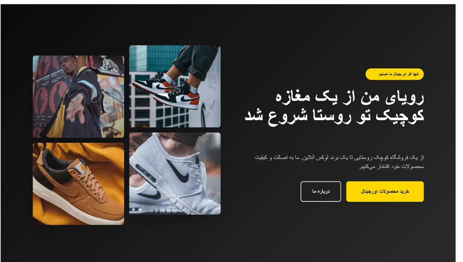 طراحی سایت حرفه‌ای فروشگاهی شخصی شرکتی   ۱۰ روزه|خدمات رایانه‌ای و موبایل|آمل, |دیوار