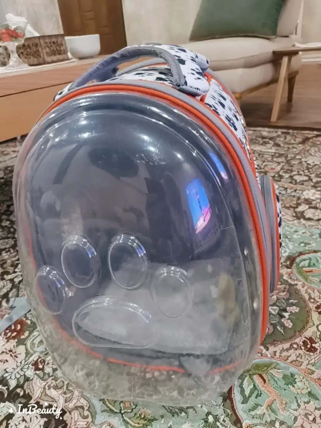 کیف و کوله حمل سگ و گربه و سنجاب...|لوازم جانبی حیوانات|کرج, مهرویلا جنوبی|دیوار