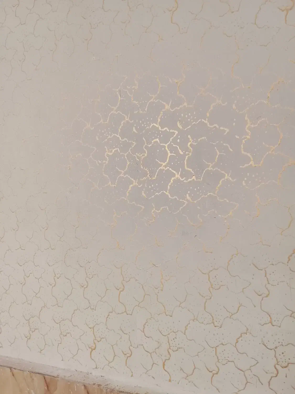 نقاشی و طرح کاغذ دیواری جاهدی|خدمات پیشه و مهارت|ارومیه, |دیوار