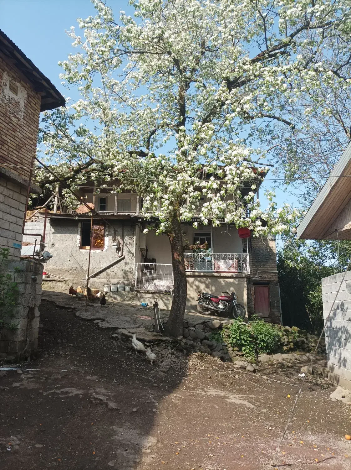 خانه ویلایی روزانه با ویو طبیعت|اجارهٔ کوتاه‌مدت ویلا و باغ|املش, |دیوار