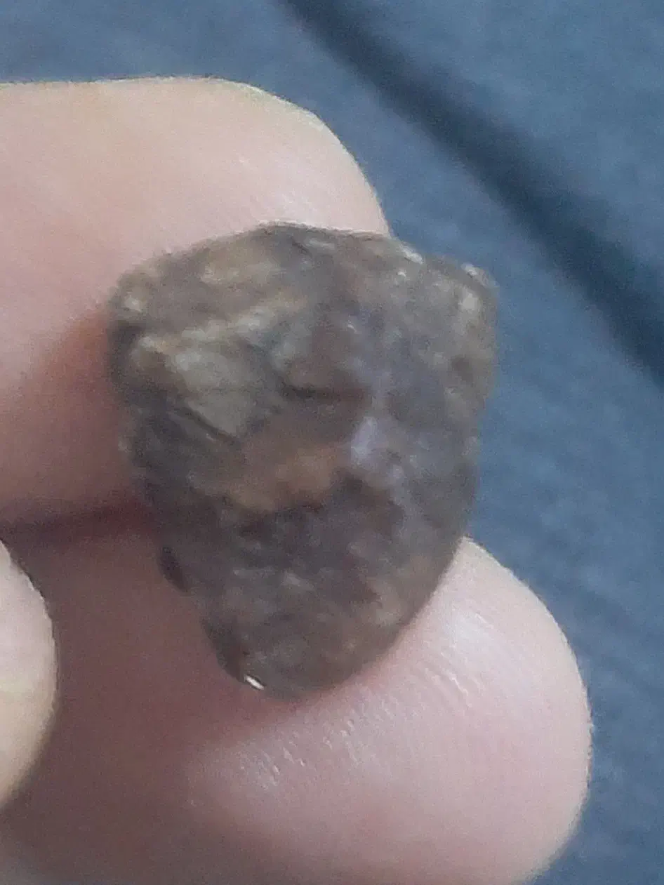 پاینت جواهری|کلکسیون اشیاء عتیقه|قروه, |دیوار