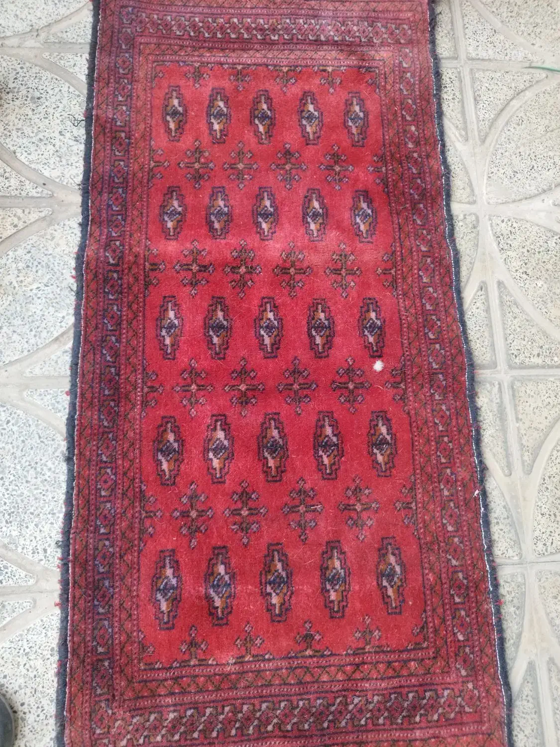 ب دلیل مهاجرت|فرش|هشتگرد, سیف آباد|دیوار