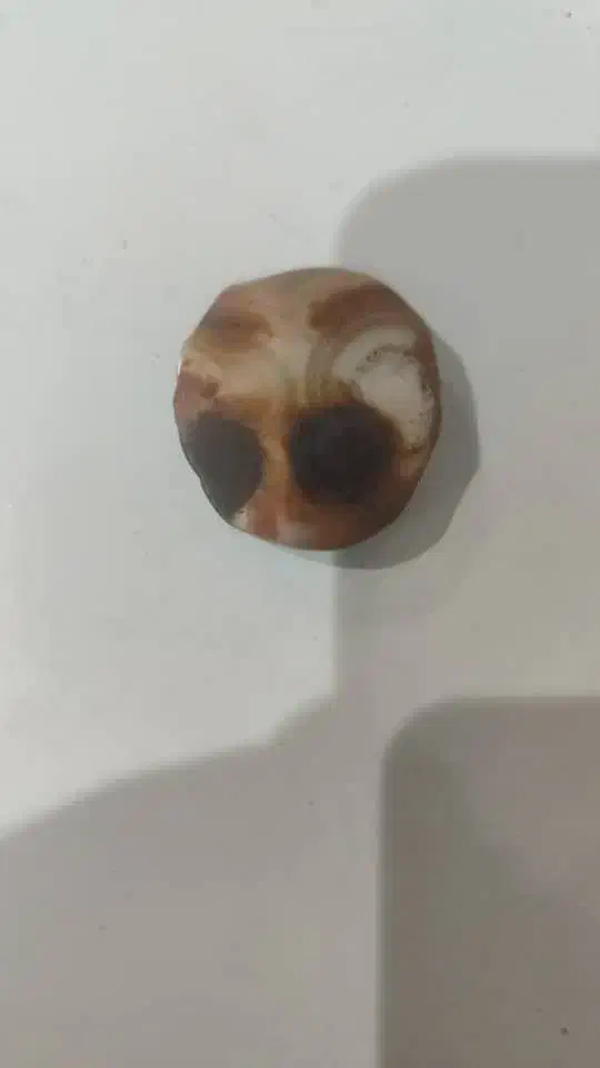 سنگ سلطانی|جواهرات|اهواز, کوی سعدی|دیوار