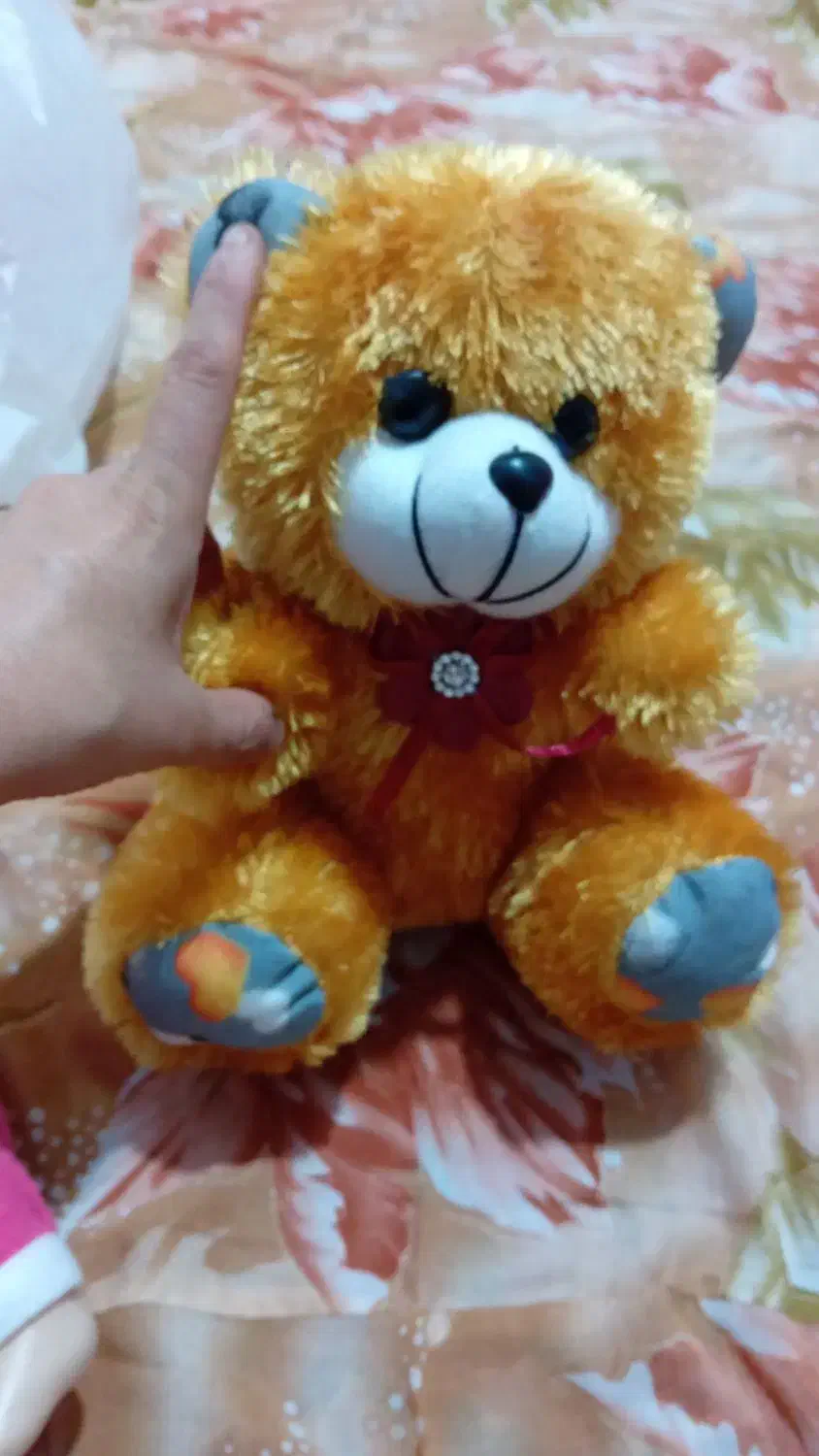 خرس. نی نی زیبا با کالسکه|اسباببازی بچه|فریدونکنار, |دیوار