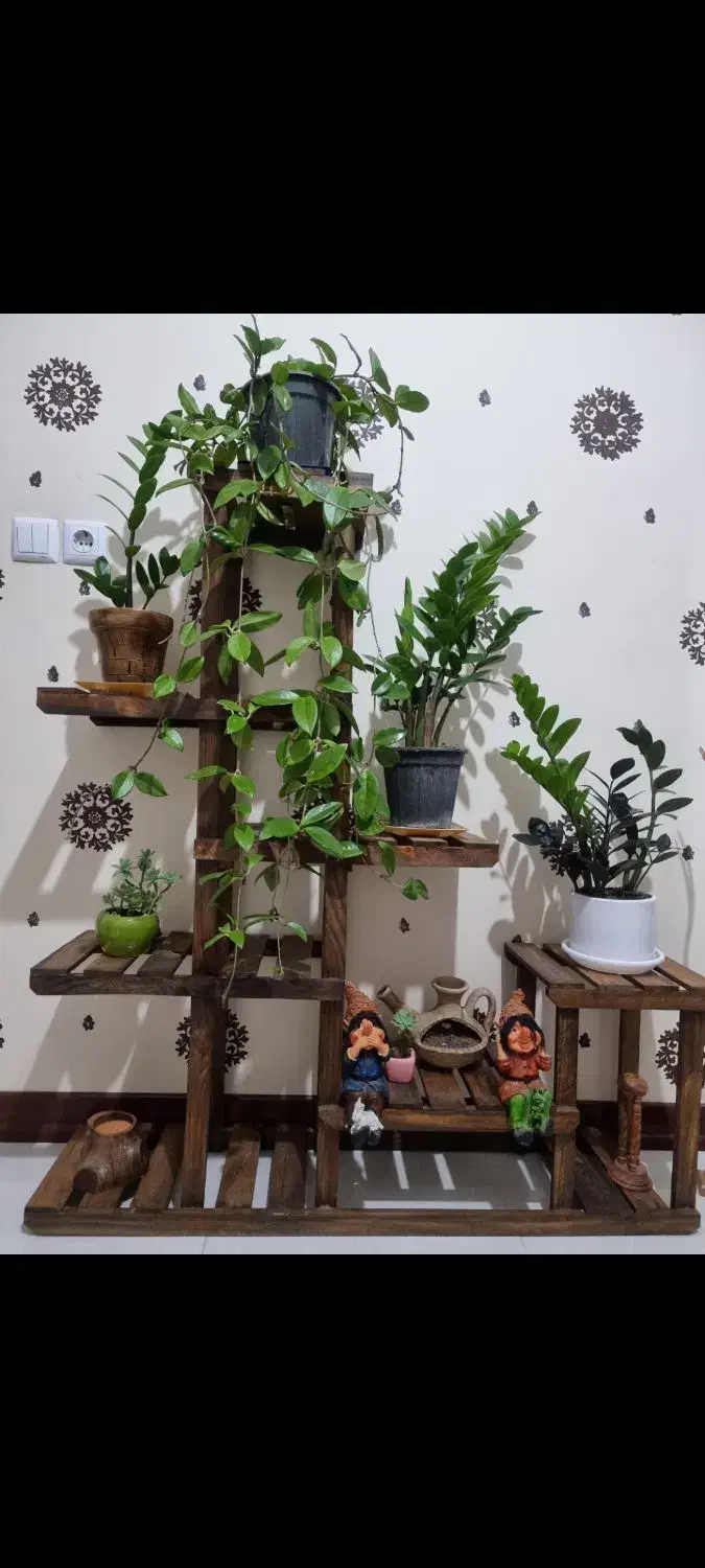 استند گل|گل و گیاه طبیعی|شاهین‌شهر, خانه کارگر|دیوار