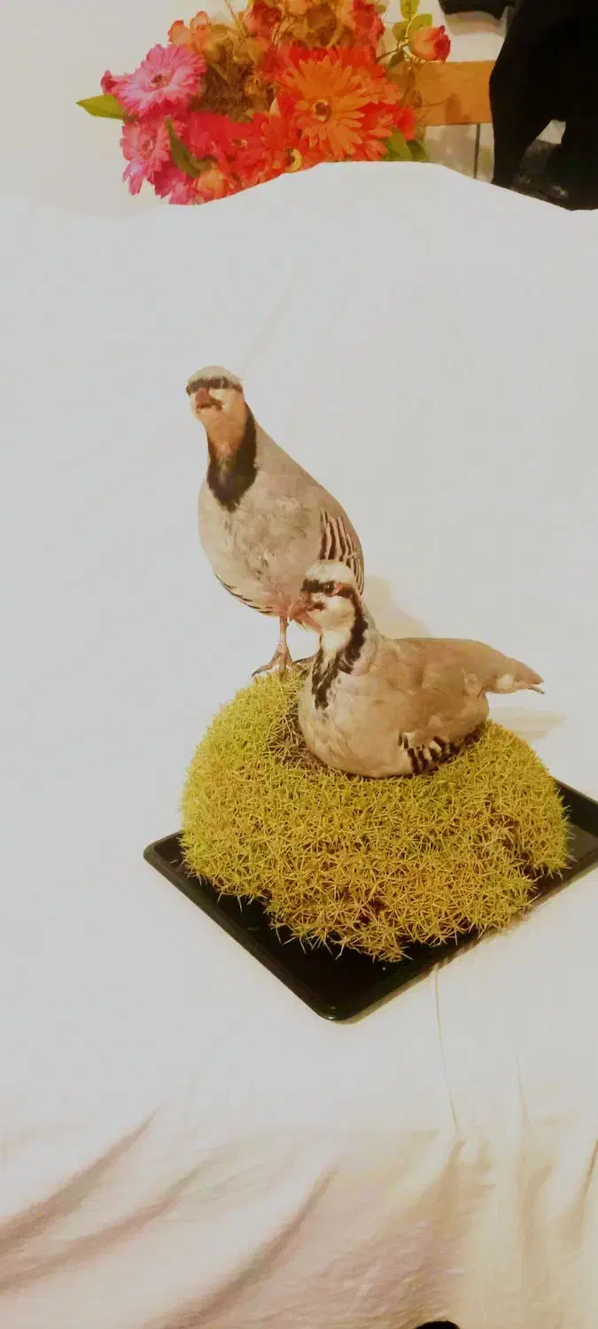 مجسمه|مجسمه، تندیس، ماکت|بن, |دیوار