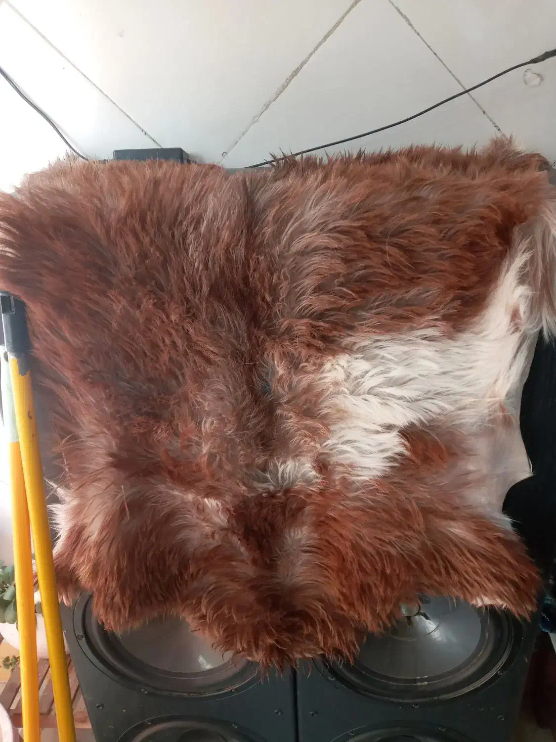 پوست بز|صنایع دستی و سایر لوازم تزئینی|گلستان (تهران), |دیوار