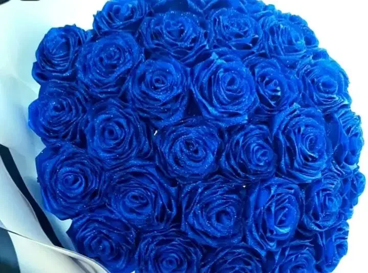 گل ربانی|گل مصنوعی|رودسر, |دیوار