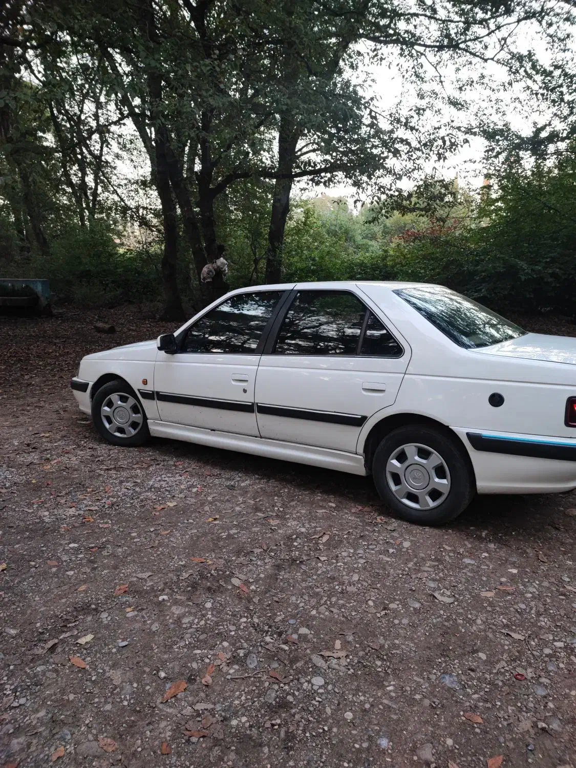 پژوپارس دوگانه کارخانه|خودرو سواری و وانت|نکا, |دیوار