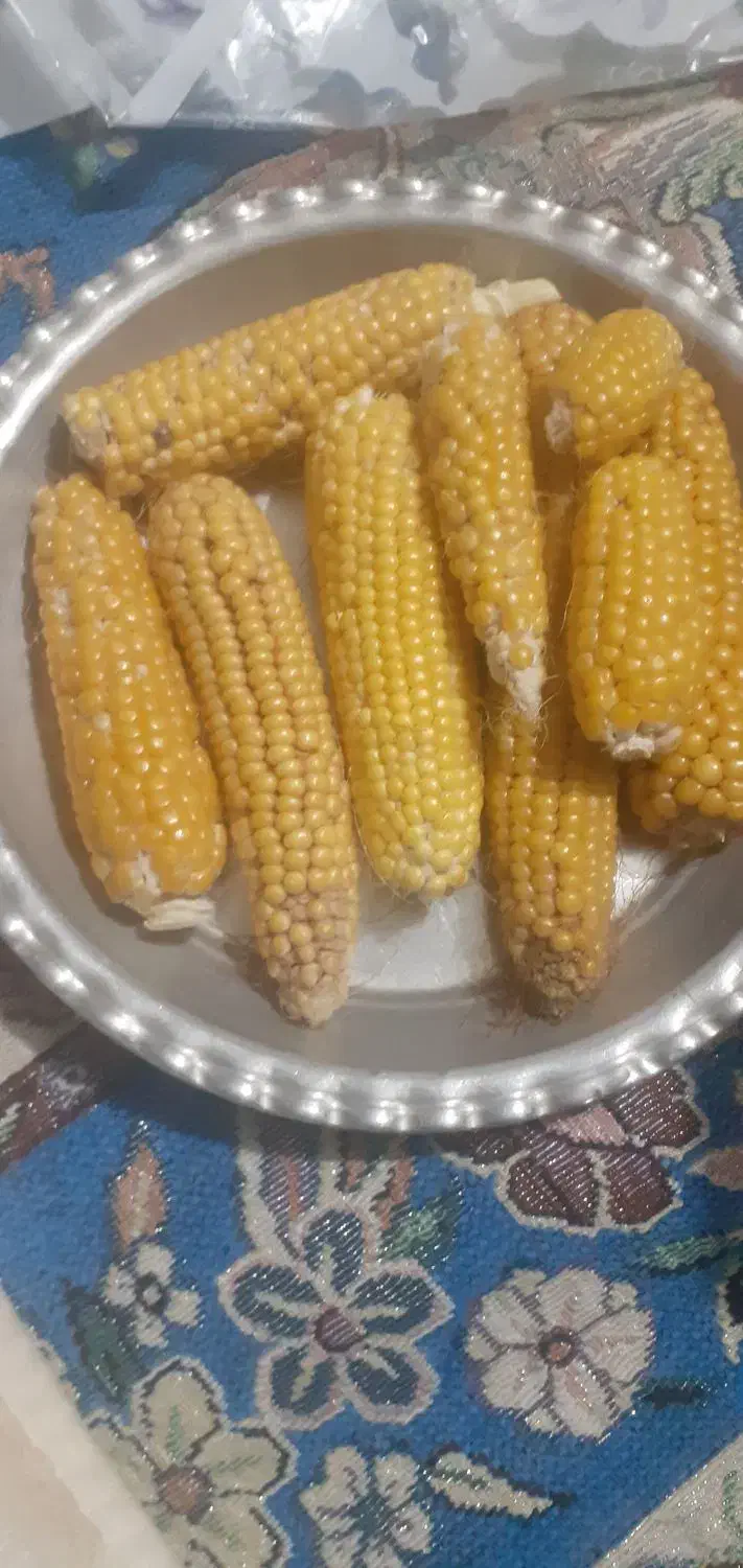 ذرت کوردی|خوردنی و آشامیدنی|ایوان, |دیوار