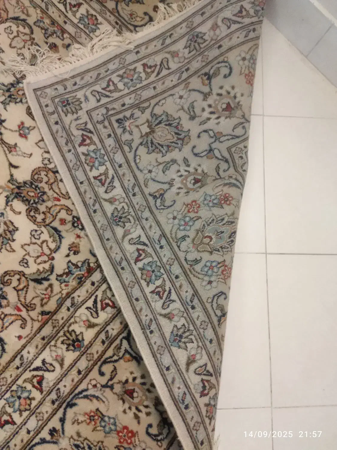 فرش دستباف کرم تمیز نو اردکان|فرش|اصفهان, خواجه عمید|دیوار