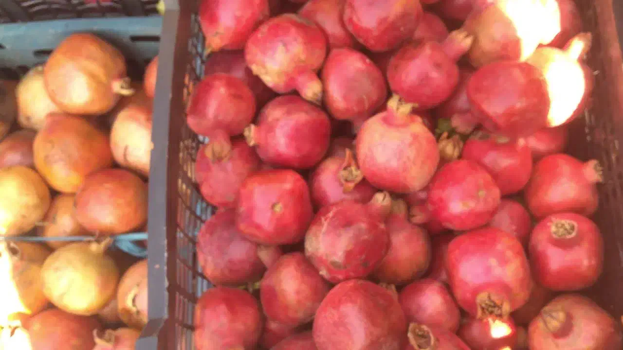 انار ابگیری|خوردنی و آشامیدنی|قم, آزادگان|دیوار
