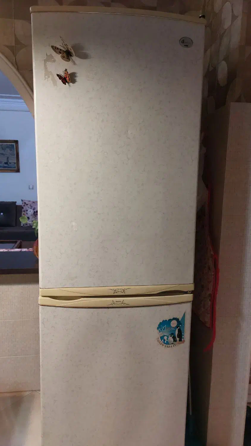 یخچال فریزر هیمالیا|یخچال و فریزر|رشت, پسیخان|دیوار