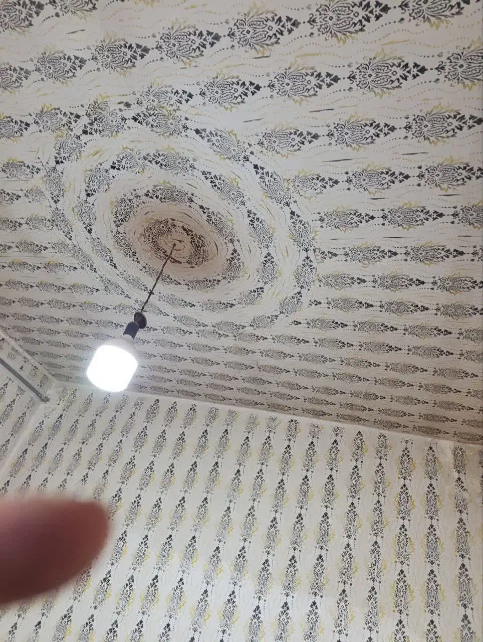 نقاشی ساختمان|خدمات پیشه و مهارت|یاسوج, |دیوار