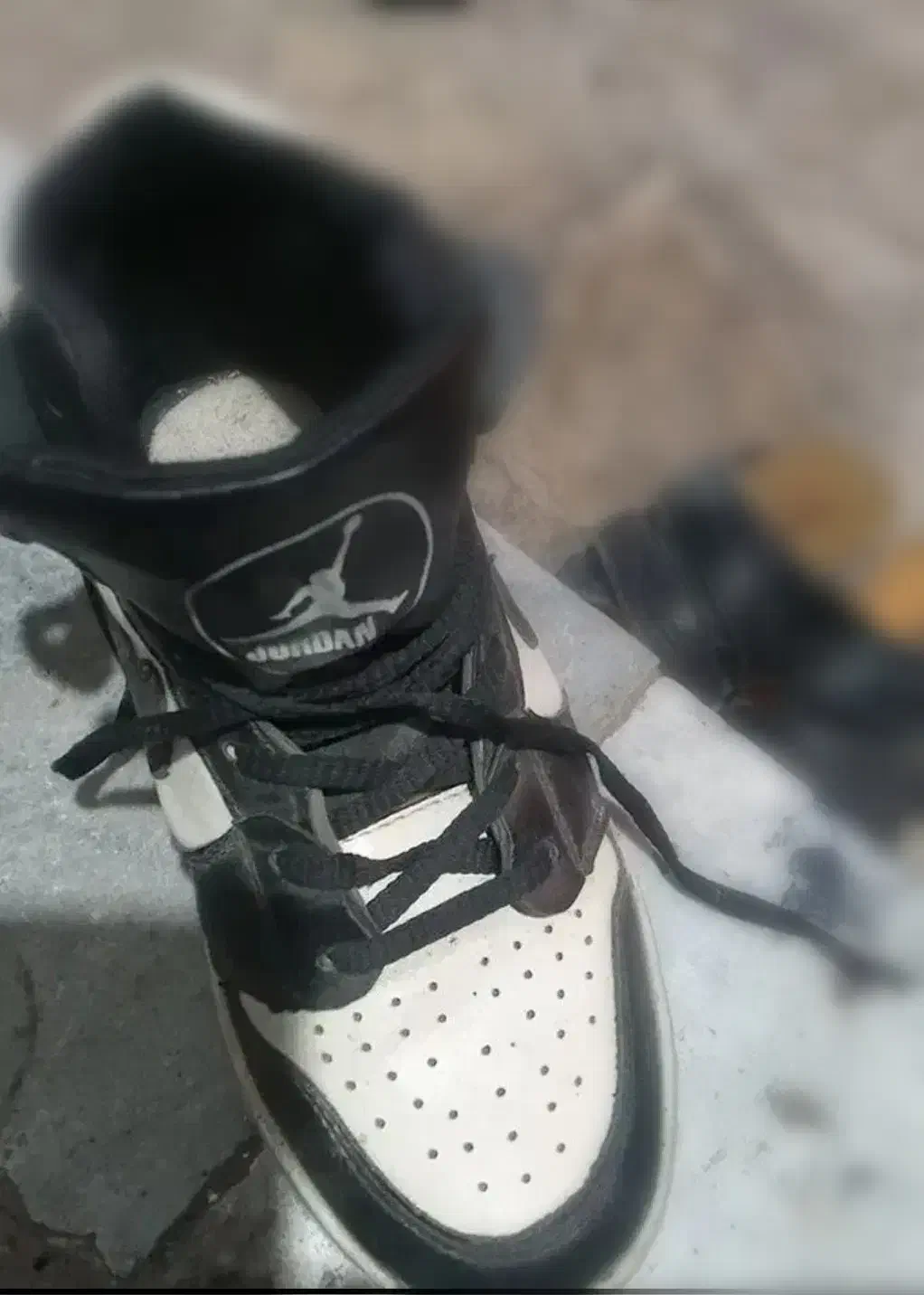 کفش زنانه|کیف، کفش، کمربند|اقبالیه, |دیوار