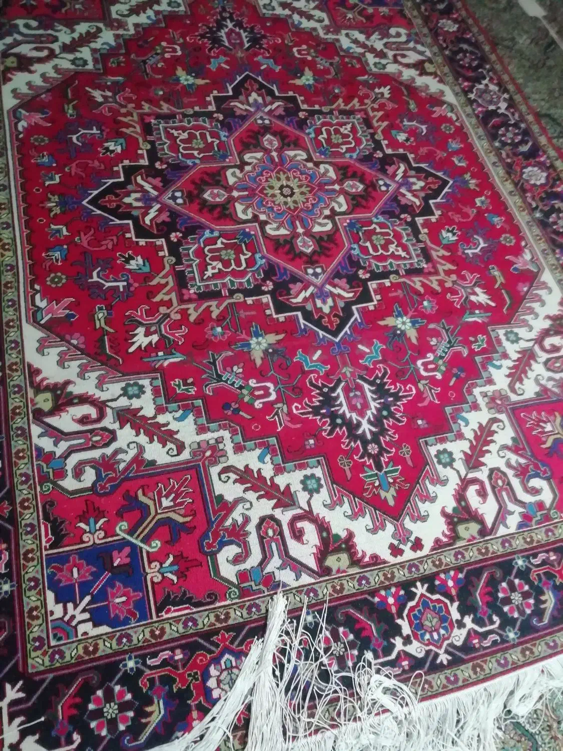 فرش12متری تک|فرش|هریس, |دیوار