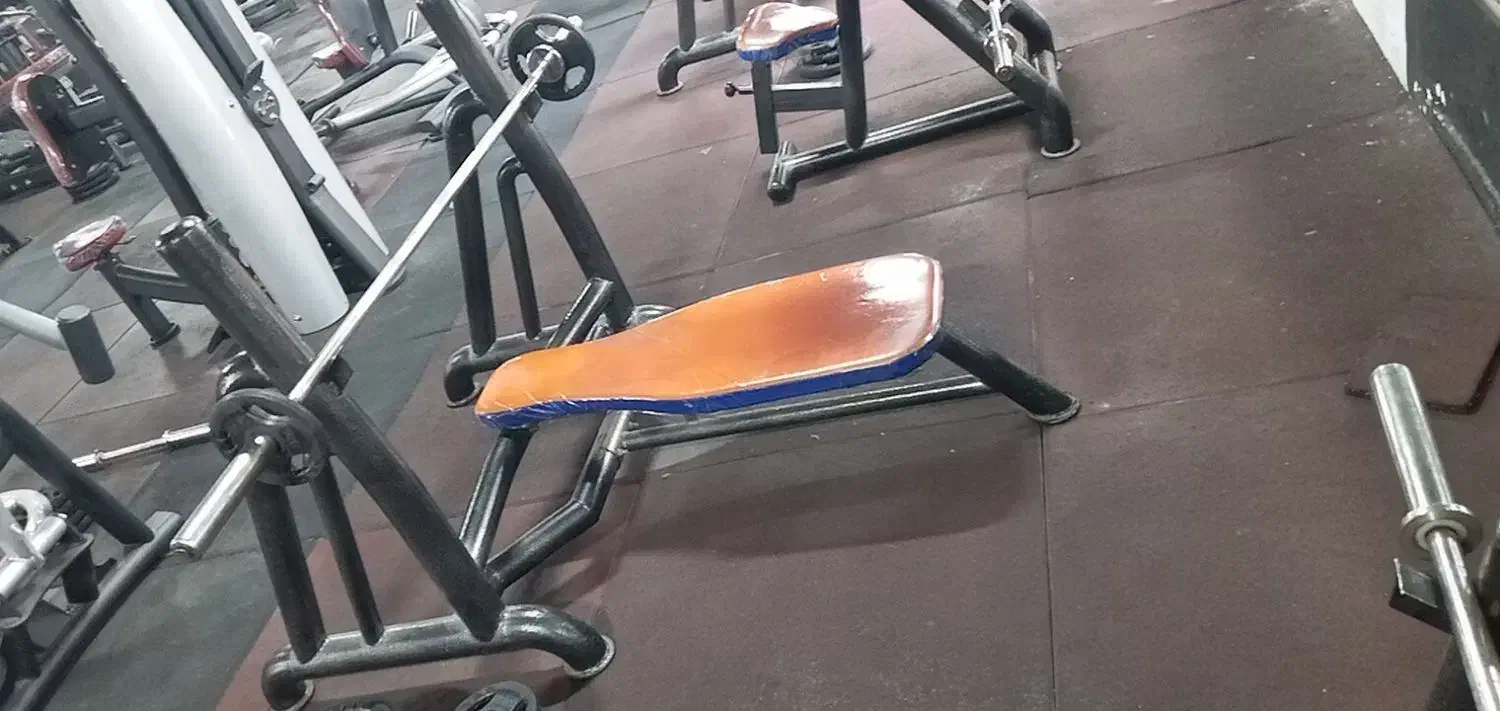 دستگاه سینه وپا|تجهیزات ورزشی|فریمان, |دیوار